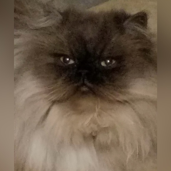 Meet your Posher! - Picture 12 of 13